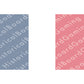 HBG France (1794-P) Build Plate Flag
