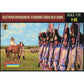 1/72 Napoleonic Austrian Grenadiers Standing Shoulder Arms (STR)