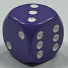 D6 (16mm) Die-Opaque Purple w/ White Pips (x5)