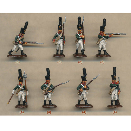 1/72 1805 Russian Line Infantry (48) (HaT)