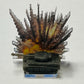 Explosion Marker (Acrylic) x5