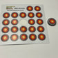 Vinyl Decals (Battle Blast)