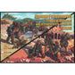 1/72 German Paratroopers (Tropical Uniform) (Mars)