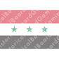 Iraq Flag (1963-91) Build Plate Flag