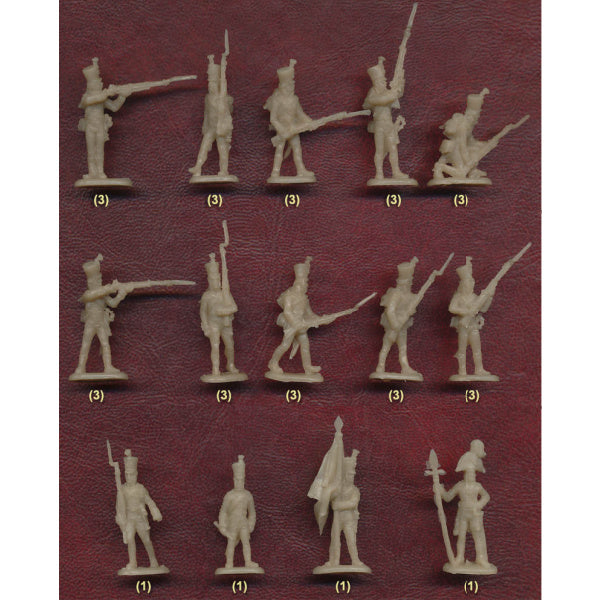 1/72 Napoleonic Russian Line Infantry (Musketeer) (Redbox)