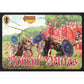 1/72 Roman Velites (STR)