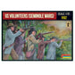 1/72 US Volunteers Seminole Wars (STR)